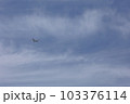 大空に羽ばたく 103376114