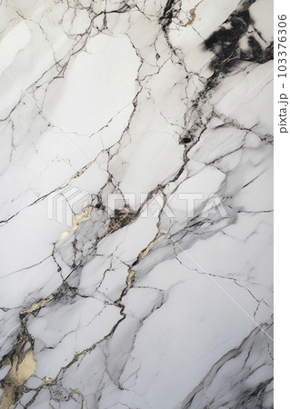 カルカッタ大理石風の背景素材「AI生成画像」 103376306