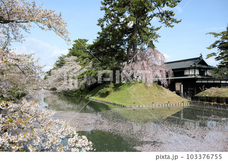 弘前公園の桜(Hirosaki park Cherry Blossoms) 103376755