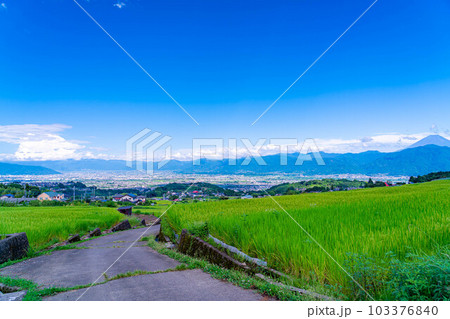 【夏素材】中野の棚田から見る富士山【山梨県】 【夏素材】中野の棚田から見る富士山【山梨県】 103376840