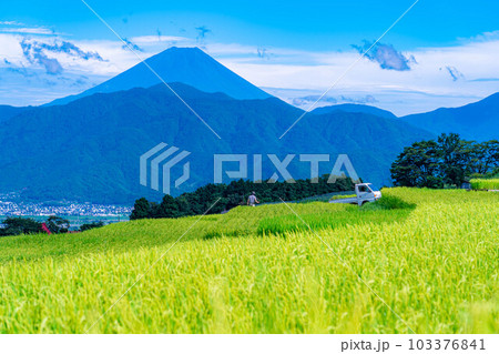 【夏素材】中野の棚田から見る富士山【山梨県】 103376841