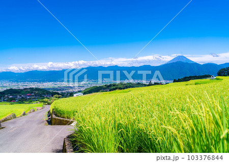 【夏素材】中野の棚田から見る富士山【山梨県】 103376844