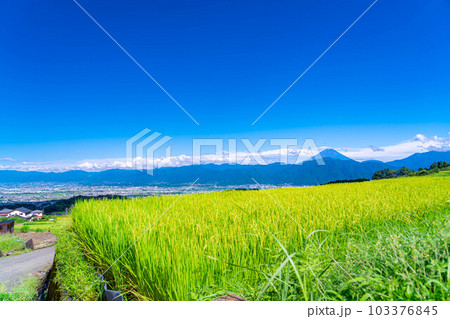 【夏素材】中野の棚田から見る富士山【山梨県】 【夏素材】中野の棚田から見る富士山【山梨県】 103376845
