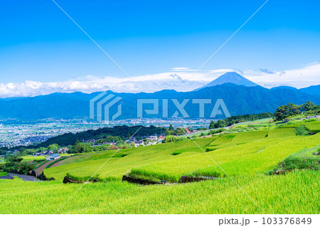 【夏素材】中野の棚田から見る富士山【山梨県】 103376849
