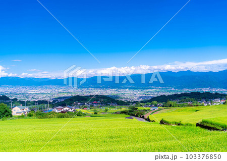 【夏素材】中野の棚田から見る富士山【山梨県】 103376850