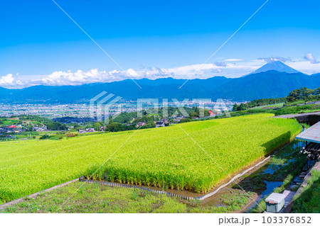 【夏素材】中野の棚田から見る富士山【山梨県】 103376852
