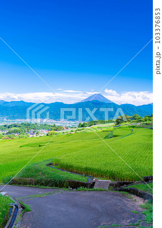 【夏素材】中野の棚田から見る富士山【山梨県】 【夏素材】中野の棚田から見る富士山【山梨県】 103376853