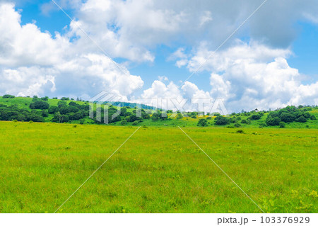【夏素材】天空の湿原・夏の八島ヶ原湿原【長野県】 103376929