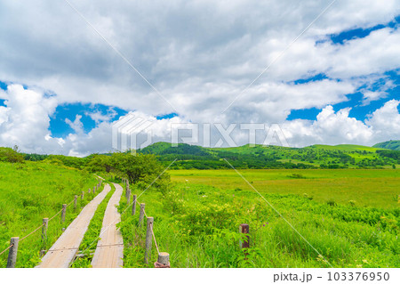 【夏素材】天空の湿原・夏の八島ヶ原湿原【長野県】 103376950