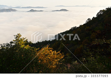 秋の向山連山 103377093