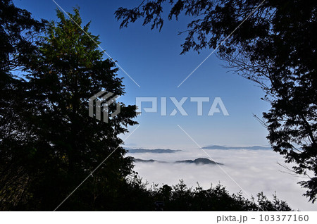 秋の向山連山 103377160