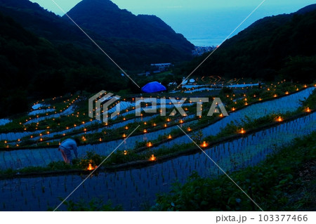 松崎町石部の棚田の灯かり 松崎町石部の棚田の灯かり 103377466
