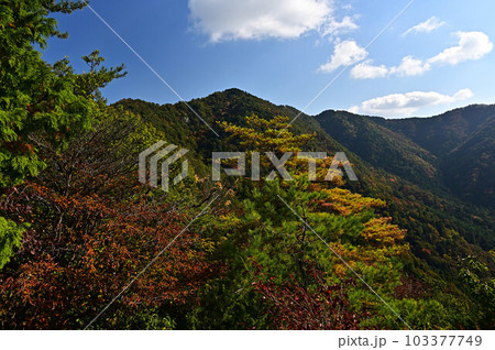 秋の向山連山 103377749