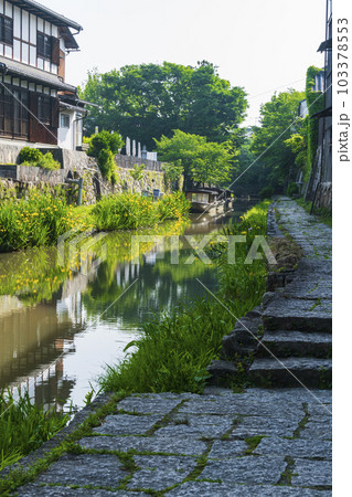 新緑の近江八幡 103378553