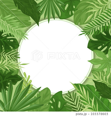 Tropical leaves in a round frame. Tropical leaves in a round frame. 103378603