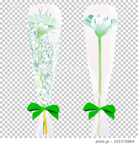 單束白色非洲菊 103378864