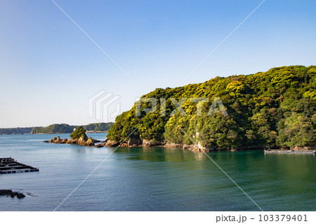 和歌山県・南紀勝浦町の勝浦港 103379401