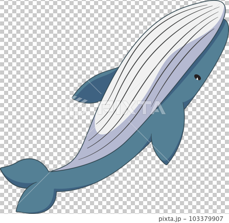 Blue whale,humpback whale cute cartoon style Blue whale,humpback whale cute cartoon style 103379907