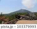 桜島　有村溶岩展望所 103379993