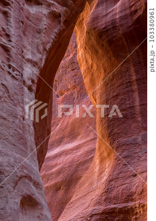 The Siq, wall texture, canyon of Petra, Jordan 103380961