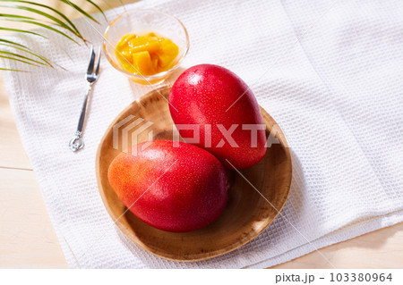 アップルマンゴー 太陽のたまご、宮崎県産完熟マンゴー 甘くて美味しい果物、贈呈品 103380964