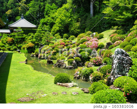 静岡県 遠州の古刹 龍潭寺 サツキ咲く5月 静岡県 遠州の古刹 龍潭寺 サツキ咲く5月 103381016