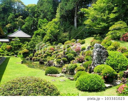 静岡県 遠州の古刹 龍潭寺 サツキ咲く5月 静岡県 遠州の古刹 龍潭寺 サツキ咲く5月 103381023