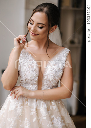 Gorgeous bride on her wedding day. Portrait of bride with elegant make-up and beautiful headdress 103381104
