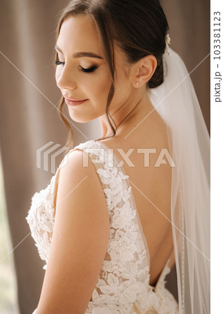 Side view of beautiful bride in elegant wedding dress. Gorgeous make up and hairstyle 103381123