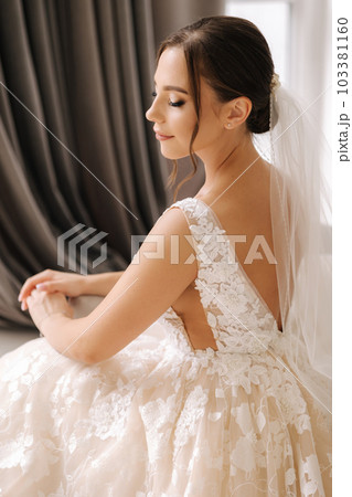 Side view of beautiful bride in elegant wedding dress. Gorgeous make up and hairstyle Side view of beautiful bride in elegant wedding dress. Gorgeous make up and hairstyle 103381160