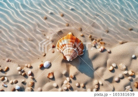 Shells on the sand and sea water, generative ai 103381639