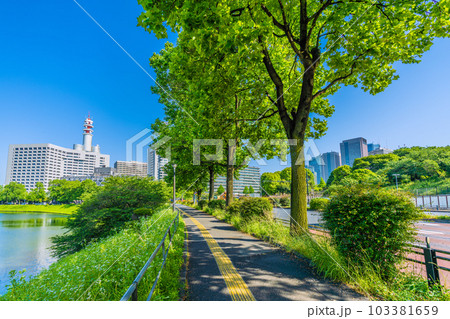 日本の東京都市景観 初真夏日…新緑・官庁街(警視庁、霞が関コモンゲート)や内堀通りなど=5月17日 日本の東京都市景観 初真夏日…新緑・官庁街(警視庁、霞が関コモンゲート)や内堀通りなど=5月17日 103381659