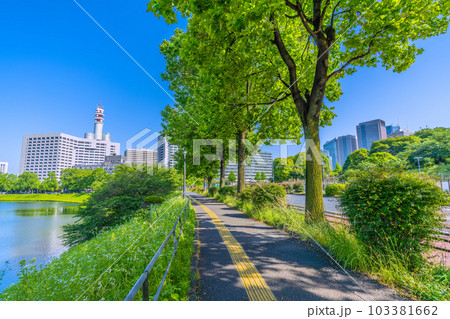 日本の東京都市景観 初真夏日…新緑・官庁街（警視庁、霞が関コモンゲート）や内堀通りなど＝5月17日 103381662