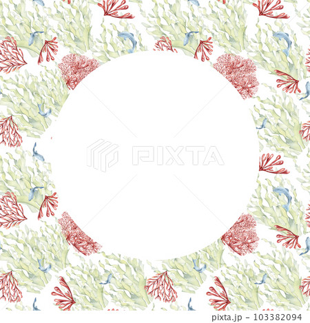 Frame of laminaria and coral watercolor isolated on white background. Pink agar agar, sea plants and fish hand drawn. Design element for package, wreath, invitation, wrapping, marine collection Frame of laminaria and coral watercolor isolated on white background. Pink agar agar, sea plants and fish hand drawn. Design element for package, wreath, invitation, wrapping, marine collection 103382094