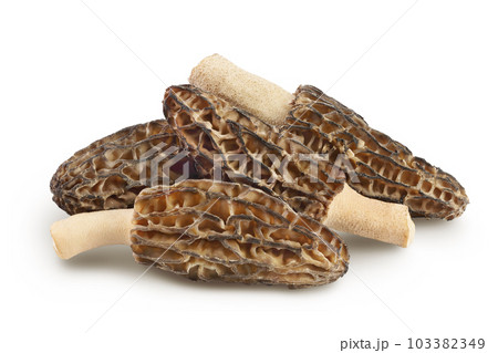 raw morel mushroom isolated on white background with full depth of field 103382349