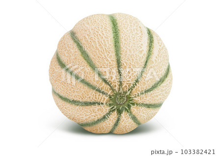Cantaloupe melon isolated on white background with full depth of field 103382421