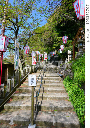 金崎宮　参道　敦賀市 103382707