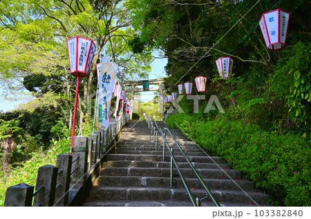 金崎宮 参道 敦賀市 金崎宮 参道 敦賀市 103382840