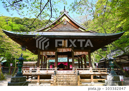 金崎宮 敦賀市 金崎宮 敦賀市 103382847