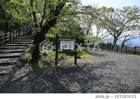 鴎ヶ崎　金ヶ崎城跡　敦賀市 103383015