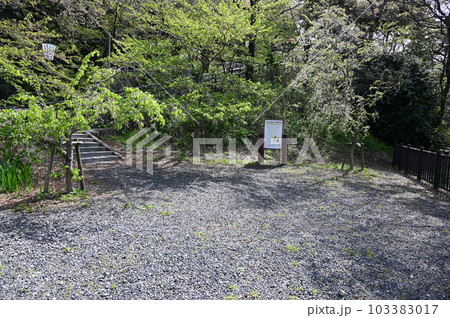 鴎ヶ崎　金ヶ崎城跡　敦賀市 103383017