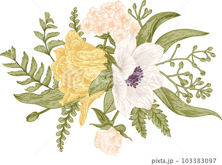 Summer bouquet in vintage style. Flower arrangement with tulips, anemones, ferns, eucalyptus seeds. Botanical illustration. Pastel colors. Summer bouquet in vintage style. Flower arrangement with tulips, anemones, ferns, eucalyptus seeds. Botanical illustration. Pastel colors. 103383097