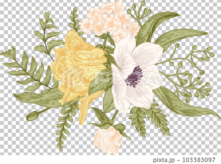 Summer bouquet in vintage style. Flower arrangement with  tulips, anemones, ferns, eucalyptus seeds. Botanical illustration. Pastel colors. 103383097