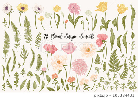 Floral design elements set in vintage style. Tulips, peony, anemones, chrysanthemum, phlox, ferns, eucalyptus seeds. Botanical illustration. Pastel colors. Art line. Floral design elements set in vintage style. Tulips, peony, anemones, chrysanthemum, phlox, ferns, eucalyptus seeds. Botanical illustration. Pastel colors. Art line. 103384433