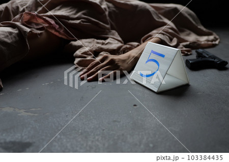 Police find rejected gun used by murderer, Evidence of murder Police find rejected gun used by murderer, Evidence of murder 103384435