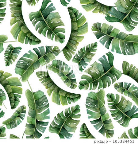 Tropical palm leaves watercolor seamless pattern on white background with green jungle plants Tropical palm leaves watercolor seamless pattern on white background with green jungle plants 103384453