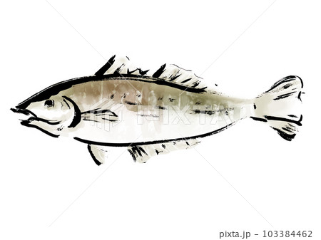 シロギスの手描き和風イラスト 103384462