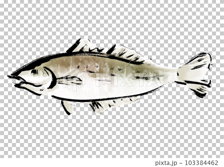 シロギスの手描き和風イラスト 103384462