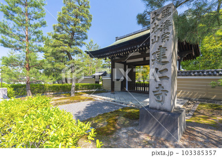建仁寺 勅使門 新緑の季節(京都市東山区) 建仁寺 勅使門 新緑の季節(京都市東山区) 103385357