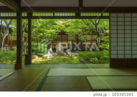 建仁寺　潮音庭　額縁庭園　新緑の季節（京都市東山区） 103385365